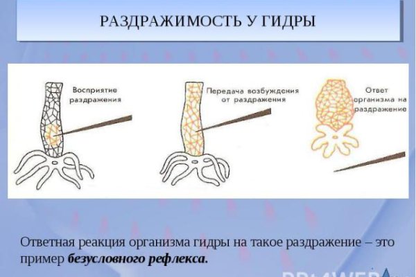 Блэк спрут не работает bs2web top