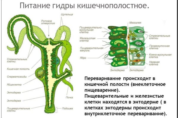 Как зайти на blacksprut через тор