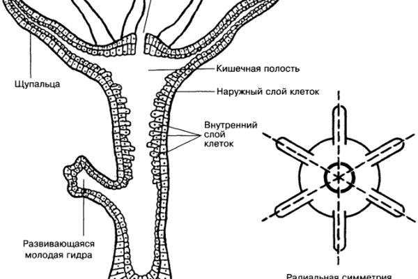 Блэкспрут клирнет