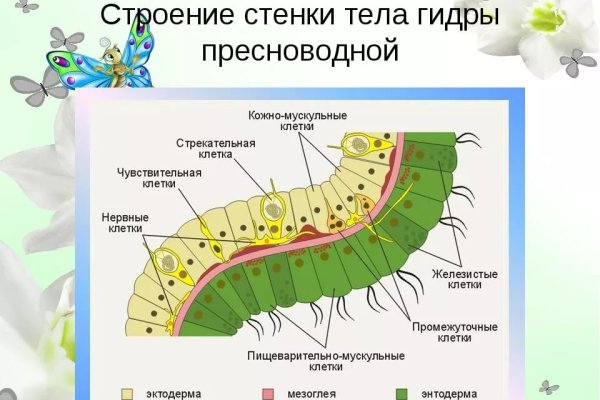 Blacksprut не заходит